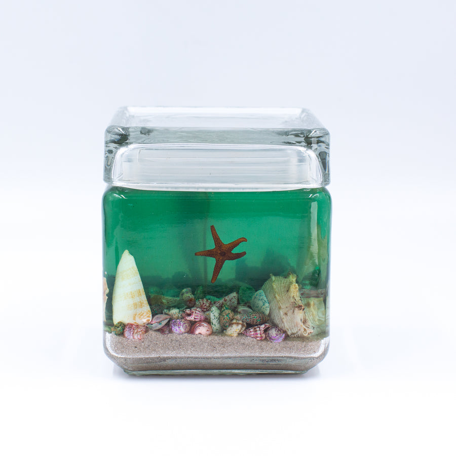Box Lid Gel Candle - Seafoam Star